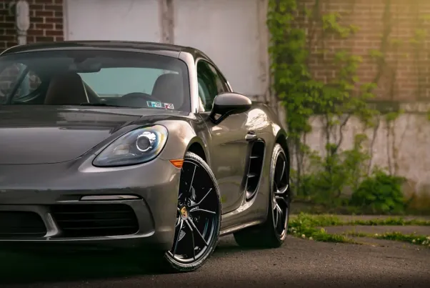 Casino Spin Pug Application Android/iOS